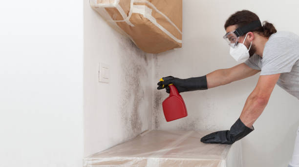 Professional Mold Testing technician working in Dedham, MA